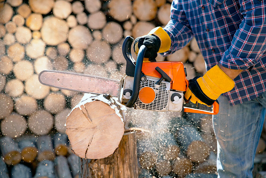 Как заготавливать дрова, чтобы не нарушить закон