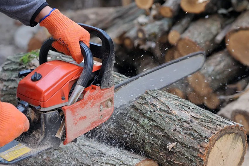 Предоставление права заготовки древесины для собственных нужд гражданам Карелии
