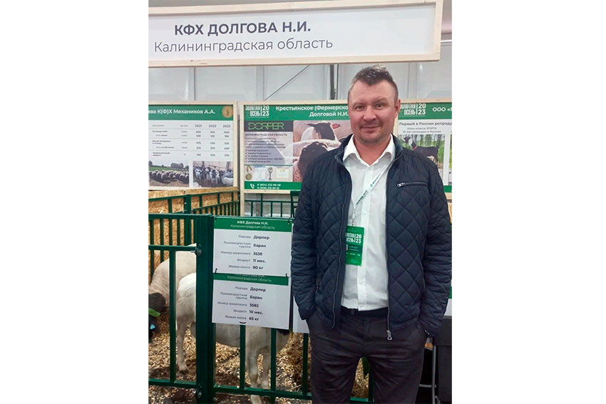 Сортавальский овцевод